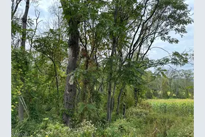 393 Mountain Lake Rd, Liberty Township, NJ 07838 - Photo 1