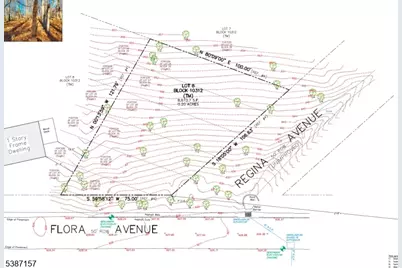 322 Flora Ave, Hopatcong, NJ 07874 - Photo 4