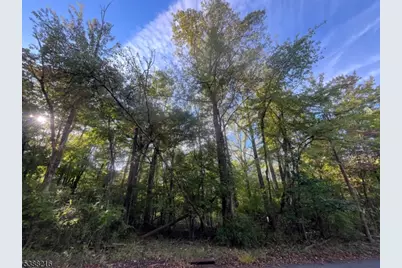 27 Elm Ave, Warren Township, NJ 07059 - Photo 2