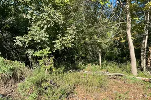 76 Woodland Rd, Piscataway Township, NJ 08854 - Photo 2