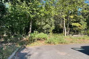 76 Woodland Rd, Piscataway Township, NJ 08854 - Photo 1