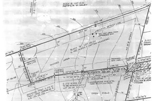 271 County Rd 513, Alexandria Township, NJ 08848 - Photo 1