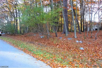 241 Old Chimney Ridge Road, Montague, NJ 07827 - Photo 6