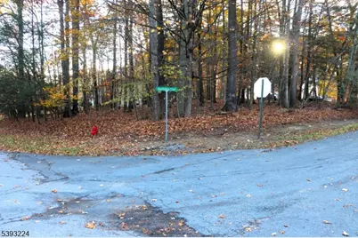 241 Old Chimney Ridge Road, Montague, NJ 07827 - Photo 4