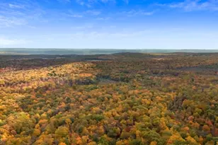 40 Martin Ln, Frankford Township, NJ 07860 - Photo 6