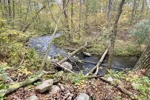 7 Stempert Rd, Frankford Township, NJ 07826 - Photo 4