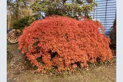 7 Stempert Rd, Frankford Township, NJ 07826 - Photo 44