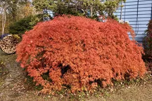 7 Stempert Rd, Frankford Township, NJ 07826 - Photo 44