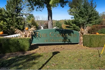 16 Galway Dr, Mendham, NJ 07945 - Photo 38