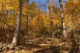 3 Rock N Wood, White Township, NJ 07823 - Photo 6