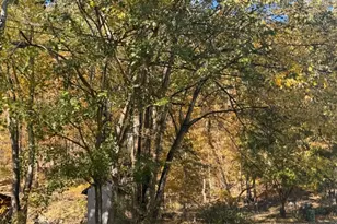 3 Rock N Wood, White Township, NJ 07823 - Photo 2