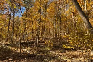 3 Rock N Wood, White Township, NJ 07823 - Photo 4