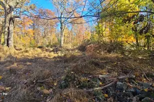 372 Zion Rd, Hillsborough Township, NJ 08844 - Photo 6