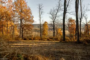 0 Asbury Broadway Rd, Franklin Township, NJ 08802 - Photo 12