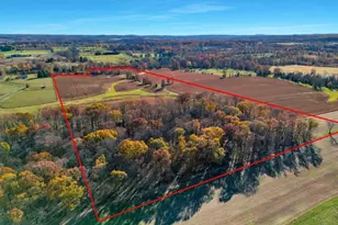 58 Dunkard Church Rd, Delaware Township, NJ 08559 - Photo 20