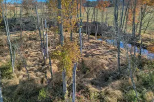 58 Dunkard Church Rd, Delaware Township, NJ 08559 - Photo 24