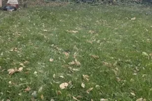 1004 Fanny St, Elizabeth, NJ 07201 - Photo 24