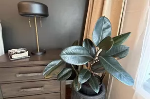 110 Orange St, Bloomfield, NJ 07003 - Photo 10