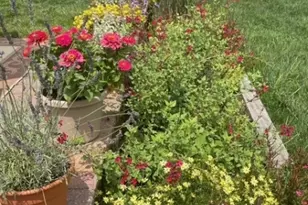 5 Wyckoffs Millsapplegarth, Monroe Township, NJ 08831 - Photo 34