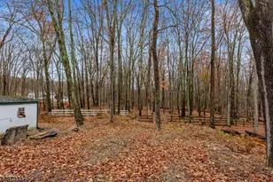 43 Meyers Rd, Sandyston Township, NJ 07827 - Photo 20