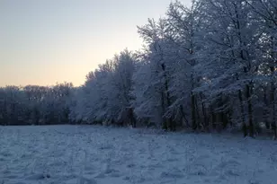 35 Barbertown Point Breeze, Kingwood Township, NJ 08825 - Photo 38