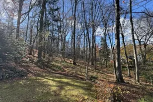 22 Mountain Rd, Denville, NJ 07834 - Photo 1