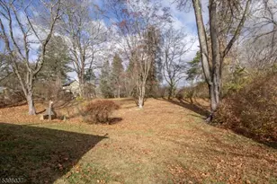 10 Maple St, Peapack Gladstone Boro, NJ 07934 - Photo 20