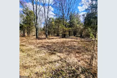 2 Shrope Ln, Kingwood Township, NJ 08825 - Photo 2