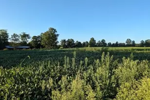 554-560 Oak Grove Rd, Kingwood Township, NJ 08825 - Photo 1