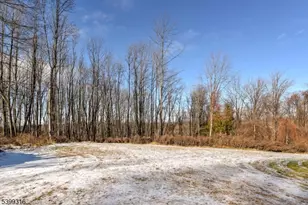 149 Maple Rd, Franklin, NJ 07416 - Photo 40