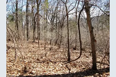 1333 State Route 57, Mansfield Township, NJ 07865 - Photo 2