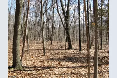 1333 State Route 57, Mansfield Township, NJ 07865 - Photo 4