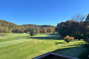 38 Goldfinch Dr, Allamuchy Township, NJ 07840 - Photo 30