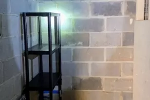 206 Broad St, Bloomfield Twp., NJ 07003 - Photo 10