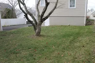 23 Delmar Ave, Morris Township, NJ 07950 - Photo 12