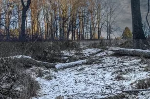 11 Logan Dr, Tewksbury Township, NJ 07830 - Photo 14