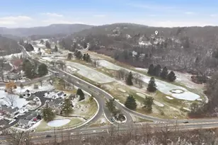14 Golden Crowned Kinglet, Allamuchy Township, NJ 07840 - Photo 12