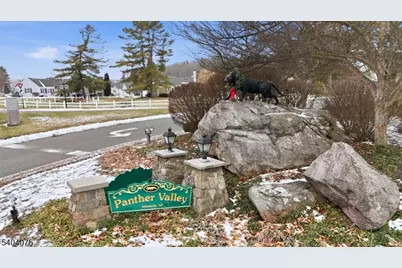 14 Golden Crowned Kinglet, Allamuchy Township, NJ 07840 - Photo 2