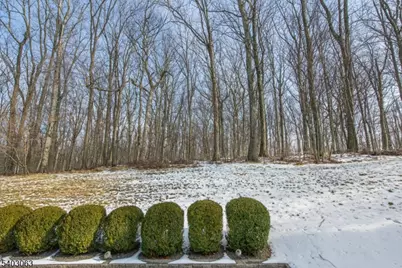 14 Greenbriar Ct, Mount Olive, NJ 07836 - Photo 44