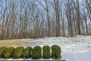 14 Greenbriar Ct, Mount Olive, NJ 07836 - Photo 44