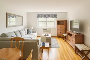 18 Springfield Ave, Cranford Township, NJ 07016 - Photo 10