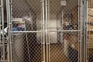 319 Regency Pl, Woodbridge Township, NJ 07095 - Photo 22