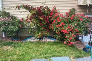 1108 Frank St, Roselle, NJ 07203 - Photo 30