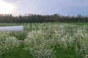 25 Clove Rd, Wantage, NJ 07461 - Photo 40