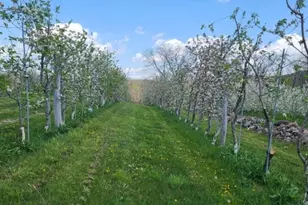 25 Clove Rd, Wantage, NJ 07461 - Photo 36