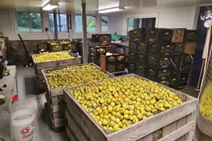 25 Clove Rd, Wantage, NJ 07461 - Photo 6