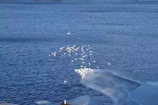 19 Windemere Ave, Mount Arlington, NJ 07856 - Photo 16