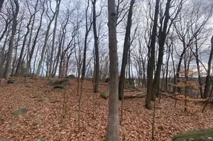 73 W Shawnee Trail, Jefferson Township, NJ 07885 - Photo 36