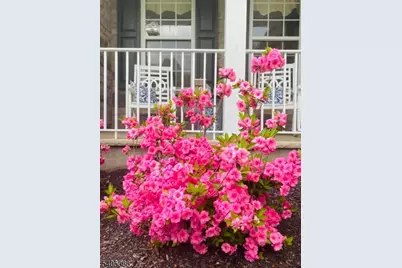 15 Dorset Dr, Mount Olive, NJ 07840 - Photo 50