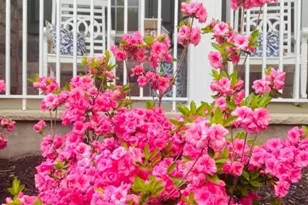 15 Dorset Dr, Mount Olive, NJ 07840 - Photo 50